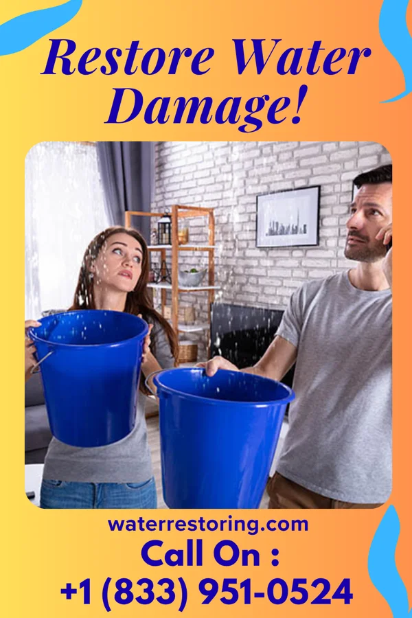 water restoration Best Flood Mitigation Contractors Alta Vista
