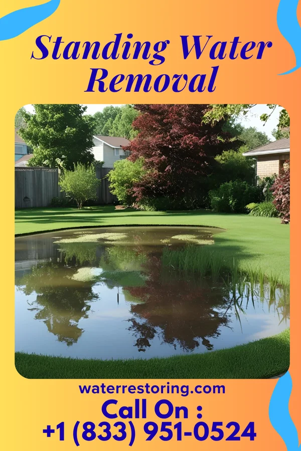 Standing Water Removal in Alta Vista, IA
